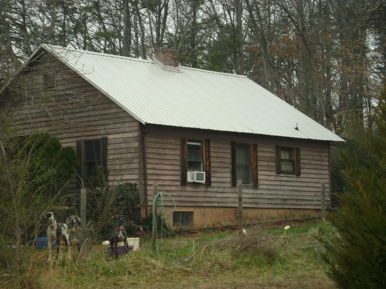 White metal roof on an old wood sided farmhouse, from a Asphalt Shingle Roof Repair job in Cummings